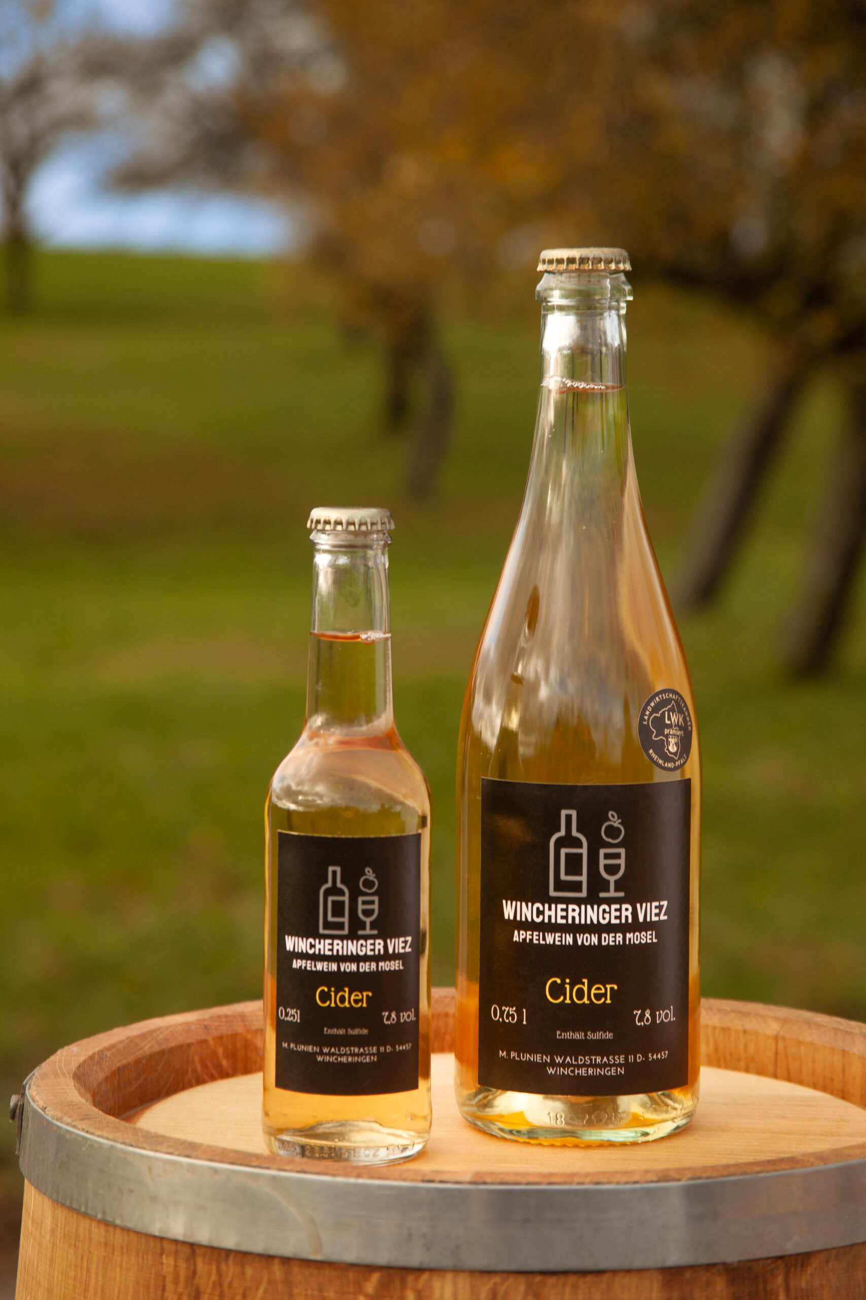 Cider